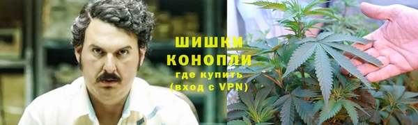 стафф Абаза