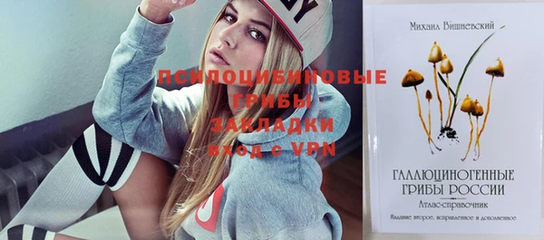 дживик Пестово