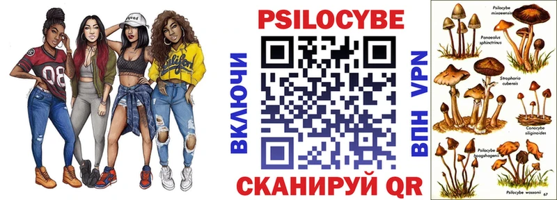 наркота  Касимов  Псилоцибиновые грибы ЛСД 